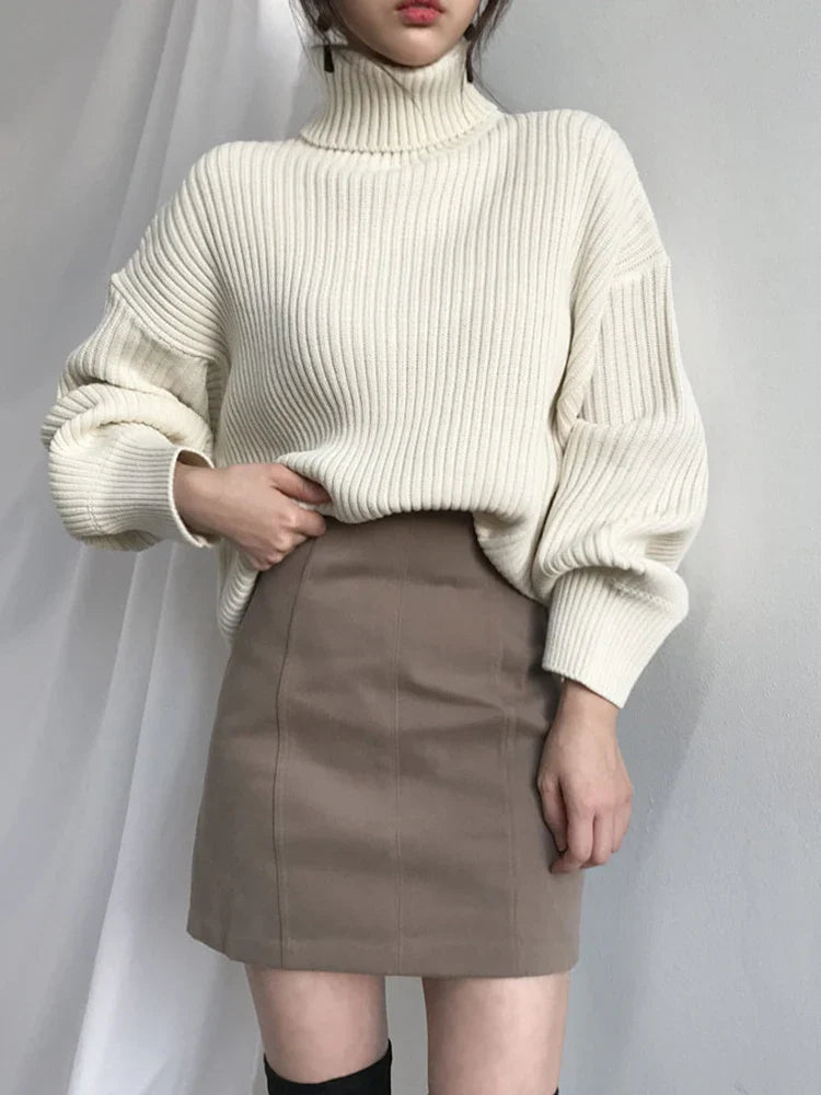 Chunky Turtleneck Knit Sweater